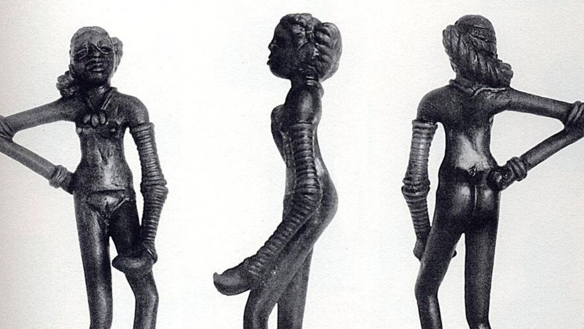 naidunia_image